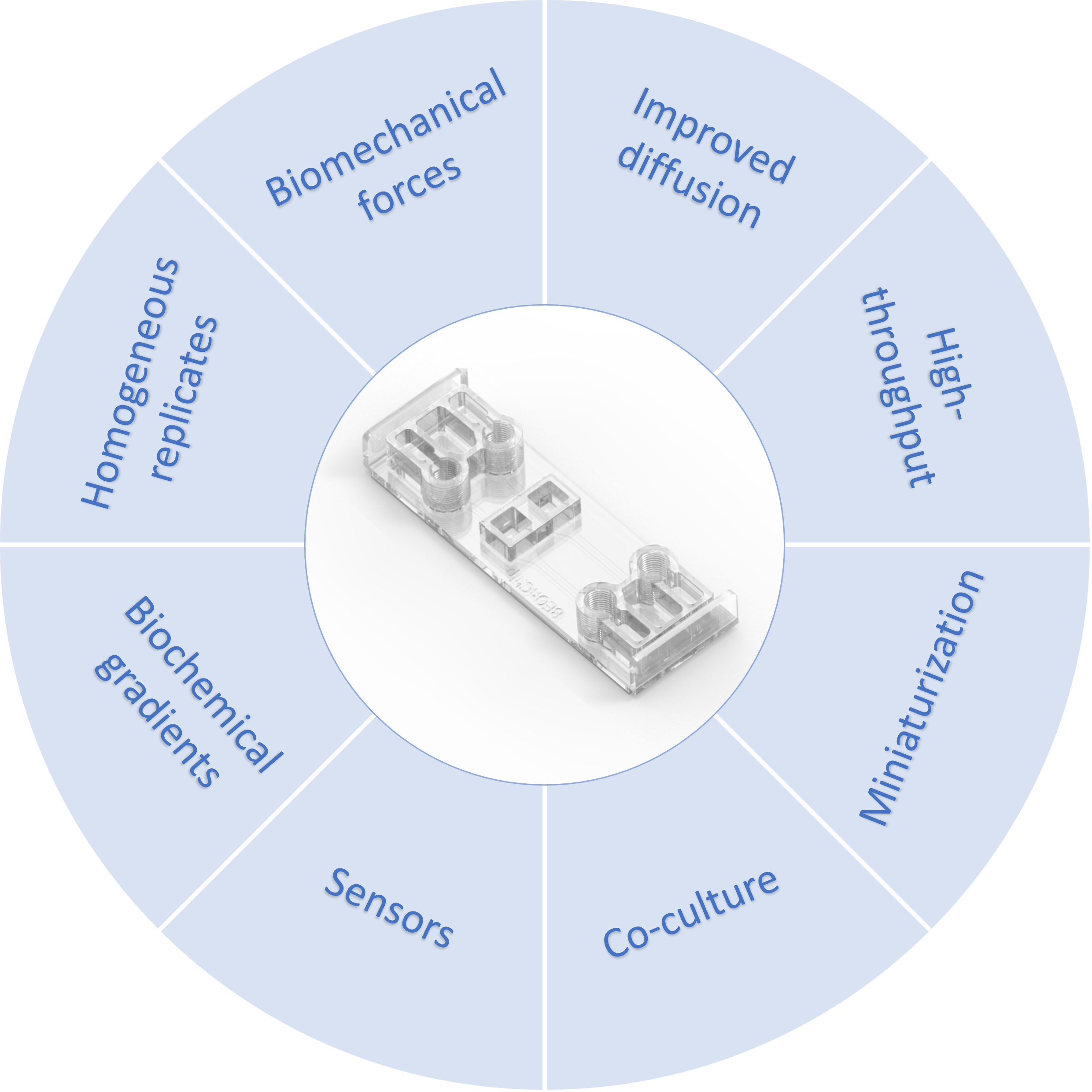 Organoids On Chip Beonchip Biomimetic Environment On Chip