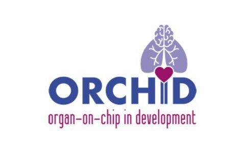 Organ on Chip Development: Orchid
