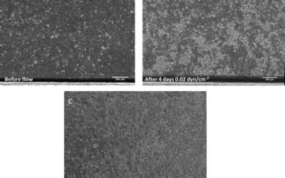 Intestinal epithelial monolayer formation using CACO-2 perfused with BE-FLOW and FLOW EZ™