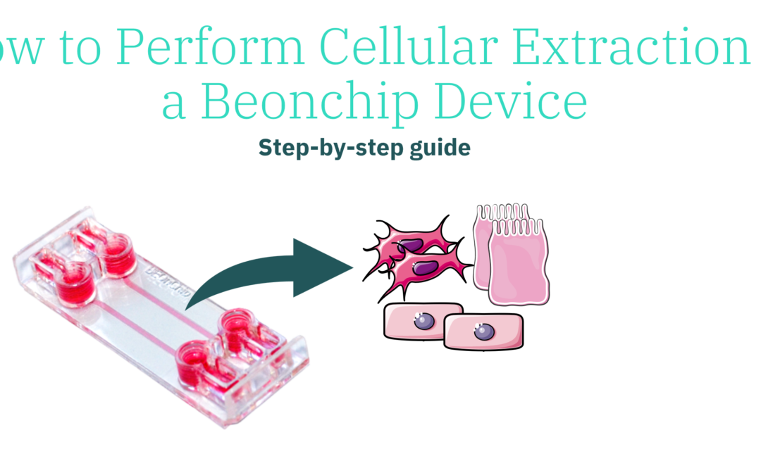 How to perform Cellular Extraction in a Beonchip device: Step-bt-step guide