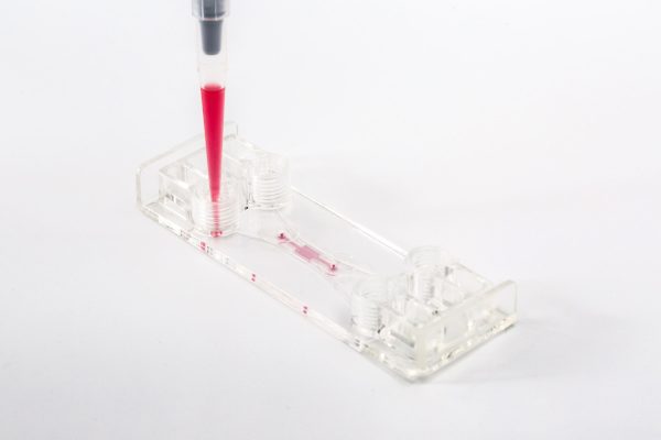 Be-Gradient Standard - Image 3