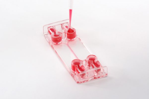 Be-Doubleflow Standard - Image 5