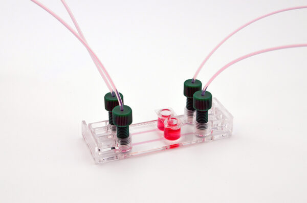 Be-Transflow Standard - Image 4
