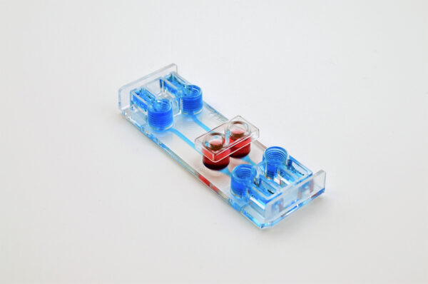 Be-Transflow Standard - Image 2