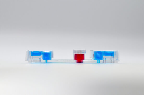 Be-Transflow Standard - Image 3