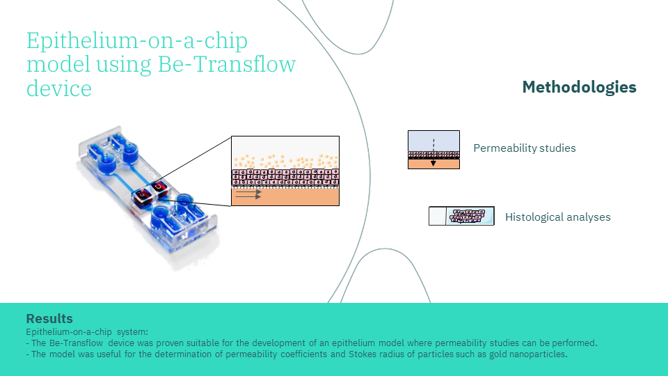 BE-Transflow device as an epithelium-on-a-chip model for permeability studies