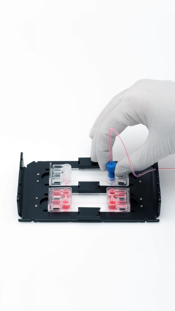 Chip microscopy holder - Image 3