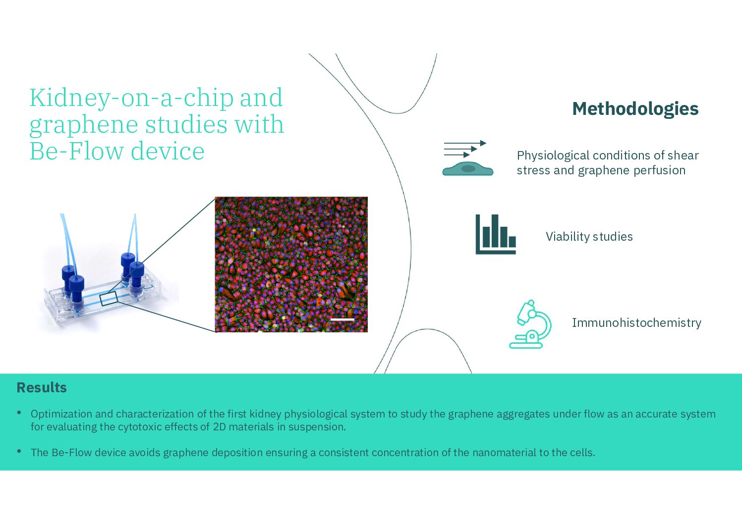 A microphysiological system for handling graphene-related materials under flow conditions