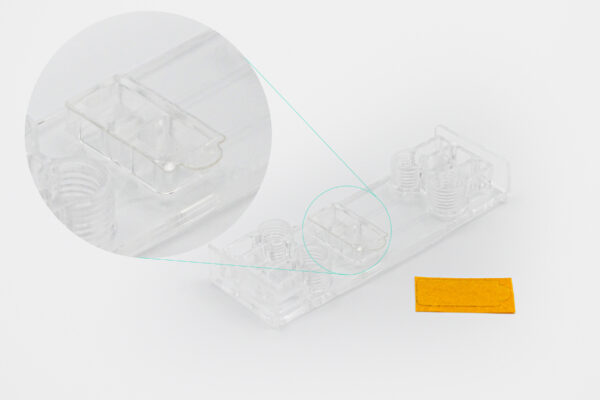 Be-Transflow Well Seal
