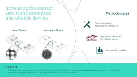 Improving cell-cell and cell-matrix contact area with custom designs of the Be-Transflow device