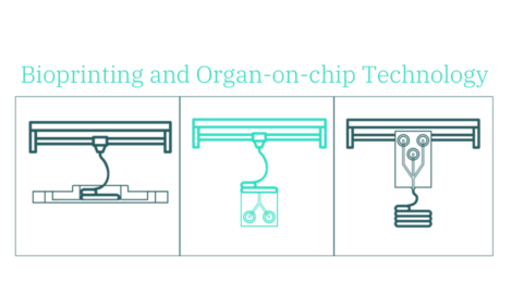 Bioprinting in organ-on-chip applications