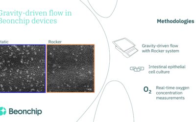 Gravity-driven flow importance in Organ-on-chip applications