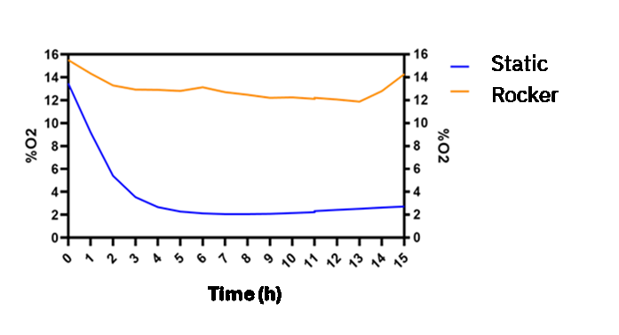 Graph of oxygen concentration evolution inside the Be-Flow microfluidic channel with a Caco-2 monolayer.cell monolayer morphology and integrity appeared significantly affected under static culture conditions, showing a better-preserved monolayer when oxygen and nutrient renewal were maintained with a rocker