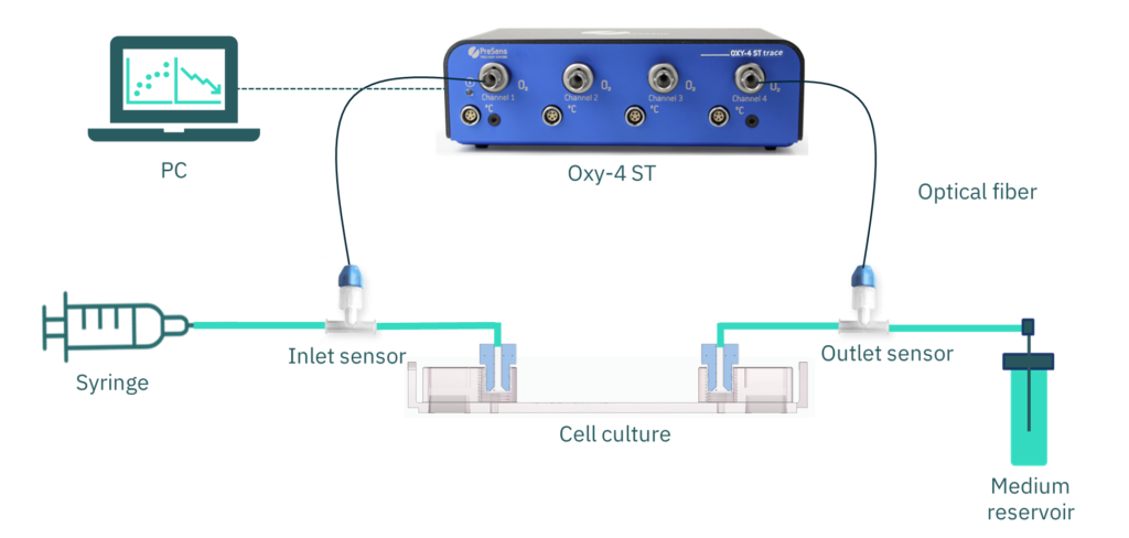 Figure 3. Diagram of the experimental elements. Be-Doubleflow microfluidic device is connected to oxygen flow sensors (PreSens) at the inlet and outlet of the cell culture channel. Flow oxygen sensors connect through optical fiber to a transmitter (OXY-4 ST). A computer receives the signal by a USB connection with the transmitter.