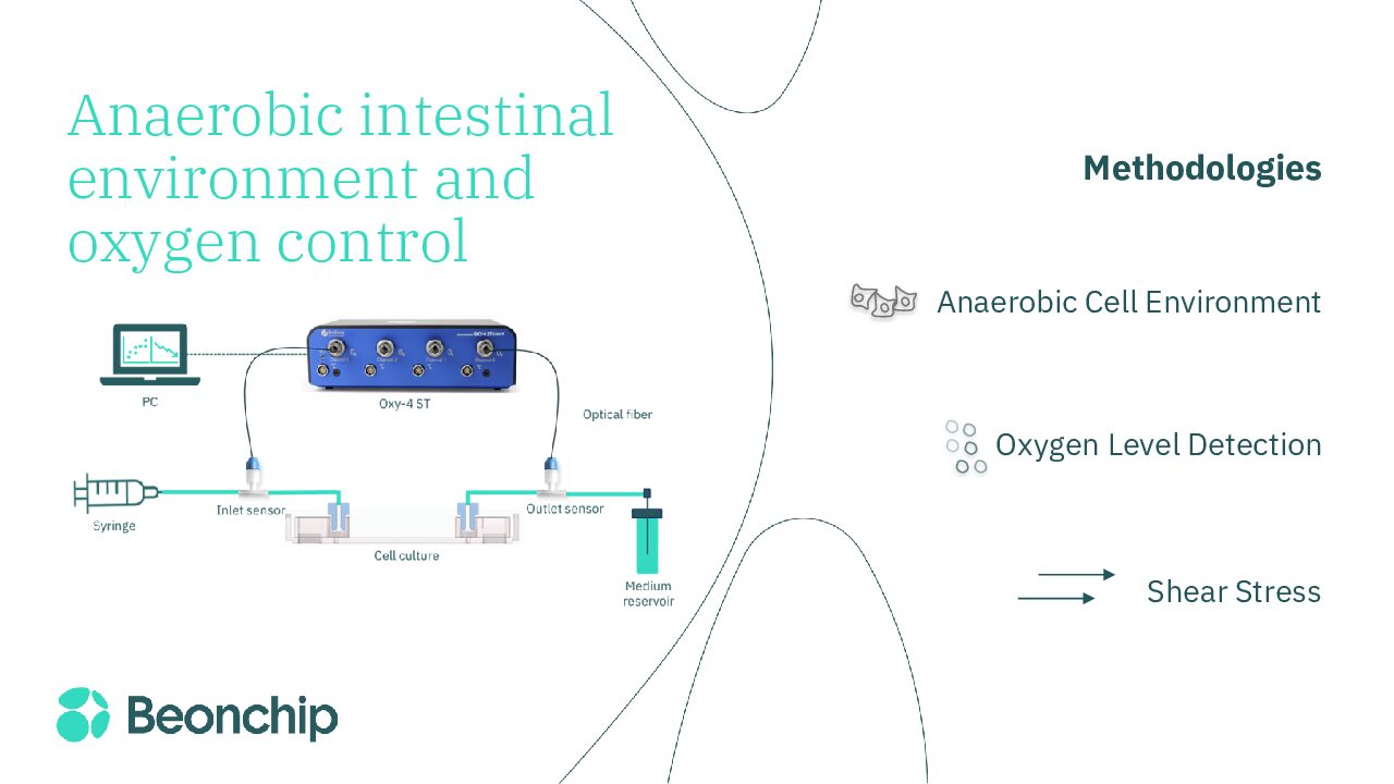 Anaerobic intestinal environment and oxygen control