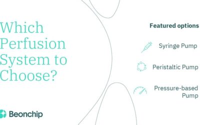 Which perfusion system to choose?