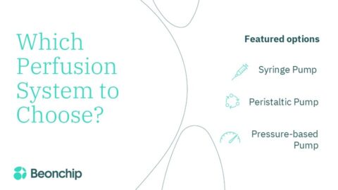 Which perfusion system to choose?